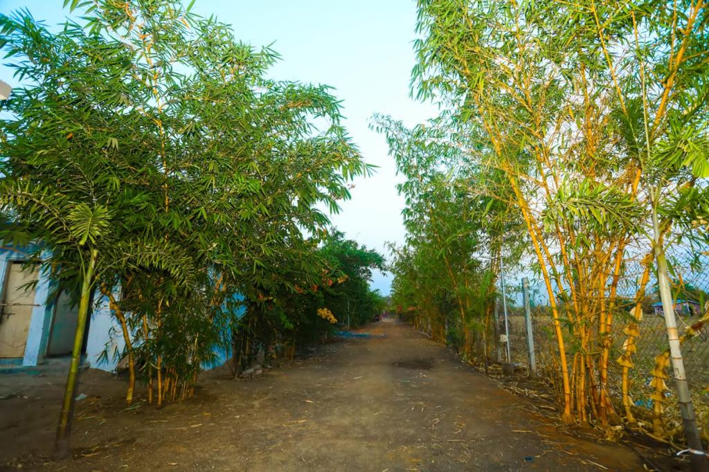Land development site